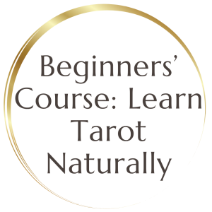 Beginners' Course - October 11 (2026)