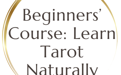 Beginners’ Course – December 4 (2026)